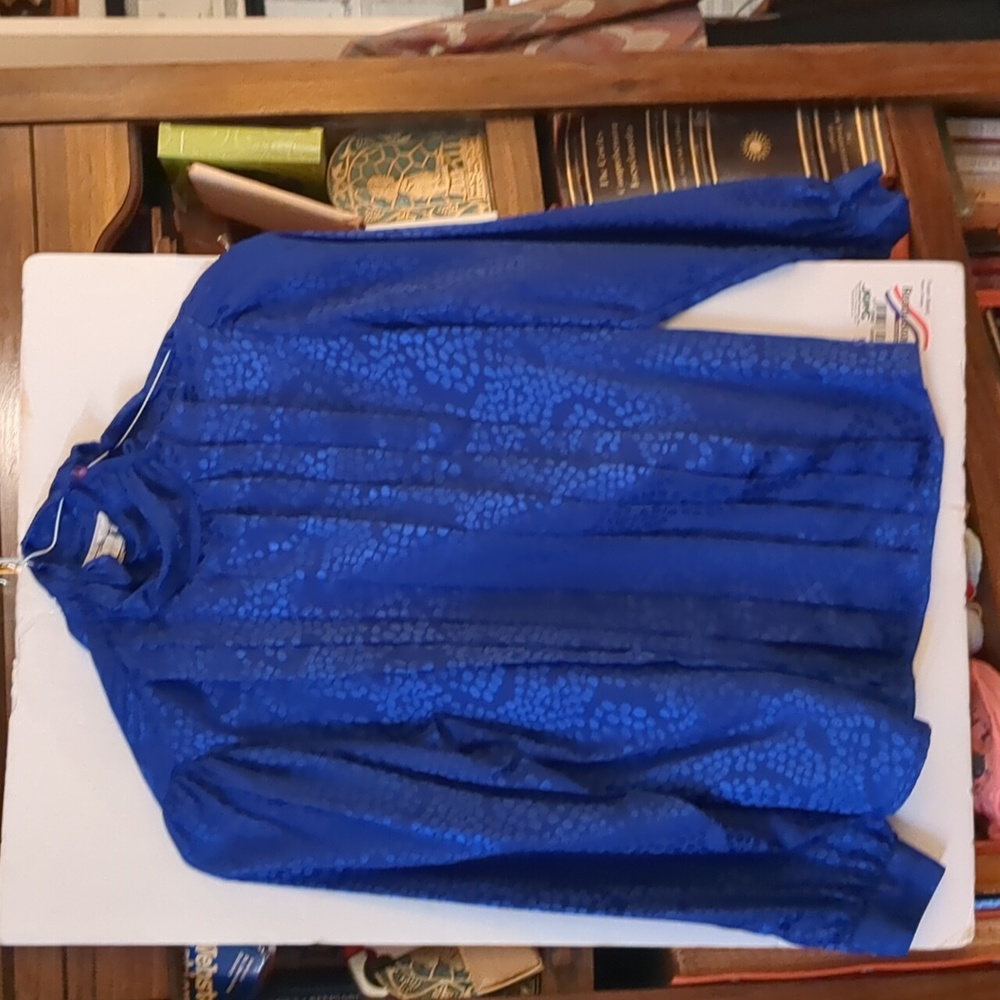 Blue Silk Blouse